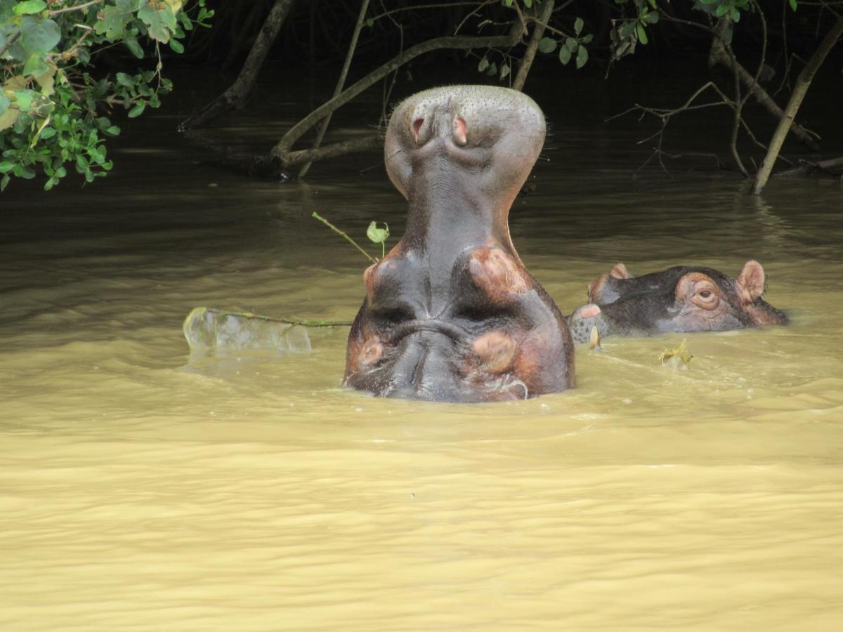 Manzini Chalet No 34 Saint Lucia Estuary المظهر الخارجي الصورة